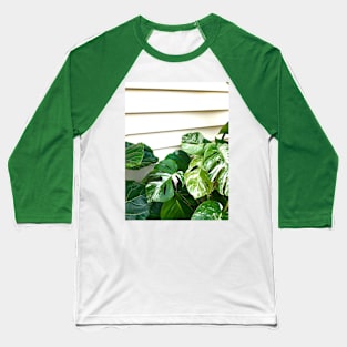 Variegated Monstera Frog Baseball T-Shirt